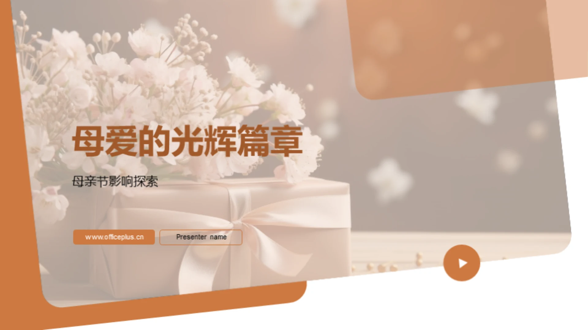 母爱的光辉篇章