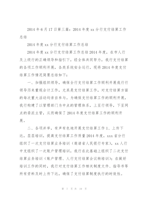 支付会计工作总结(多篇).docx