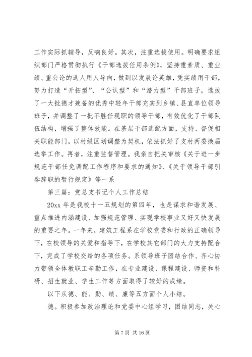 村书记个人工作总结.docx