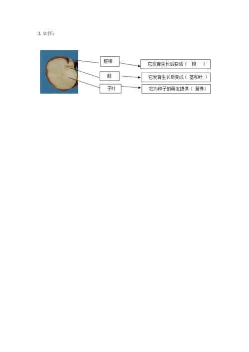 科学四年级下册第一单元植物的生长变化测试卷（典型题）.docx