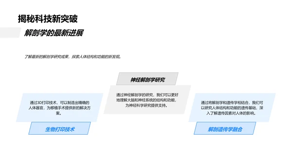 人体器官解剖讲座PPT模板