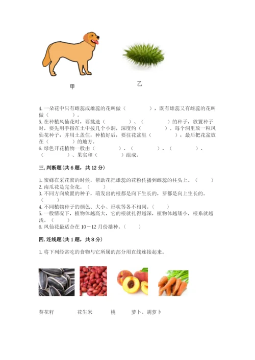 科学四年级下册第一单元植物的生长变化测试卷必考题.docx