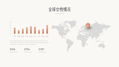 高端母婴产品推广通用PPT模板