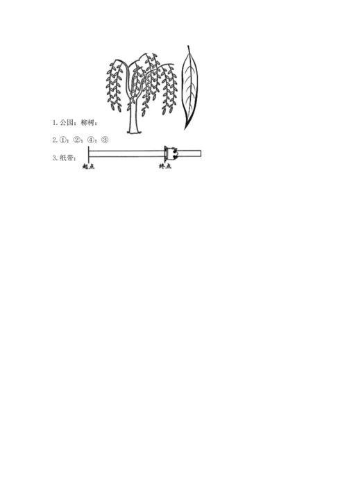 教科版一年级上册科学期末测试卷a4版可打印.docx