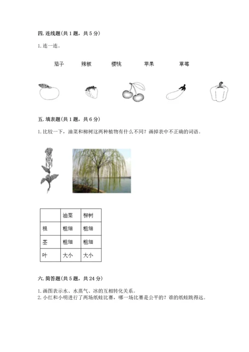 教科版小学一年级上册科学期末测试卷（培优）.docx