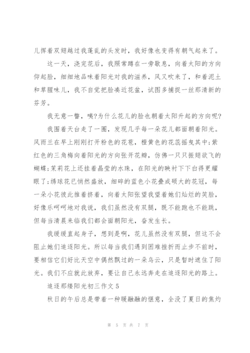 追逐那缕阳光初三作文5篇.docx