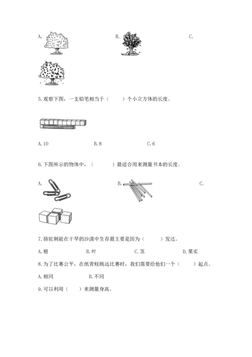 教科版一年级上册科学期末测试卷精品【能力提升】.docx