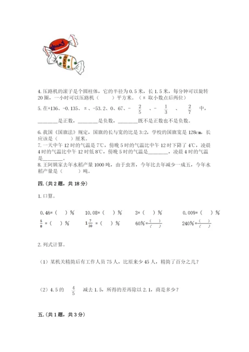 苏教版数学六年级下册试题期末模拟检测卷【突破训练】.docx