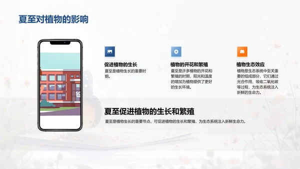 夏至影响生态PPT模板