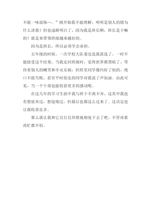 小小领航人作文.docx