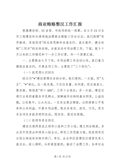 商业贿赂整汉工作汇报.docx