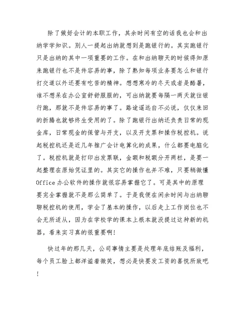 寒假公司会计的实训总结范文