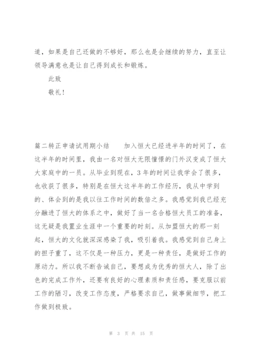 转正申请试用期小结七篇.docx