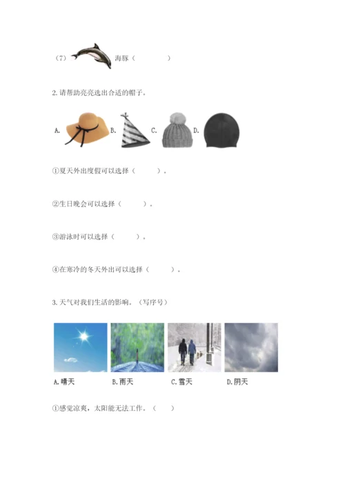 教科版二年级上册科学期末测试卷含答案（实用）.docx