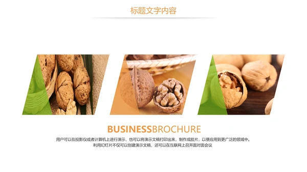 休闲美食美味坚果干果核桃宣传PPT模板