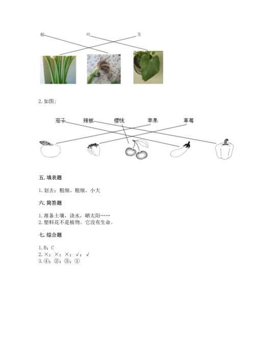 教科版科学一年级上册第一单元《植物》测试卷附答案【突破训练】.docx