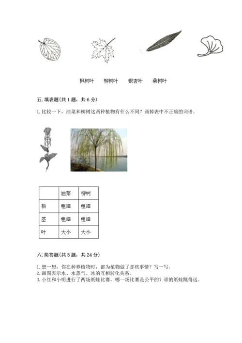 教科版一年级上册科学期末测试卷【名师系列】.docx