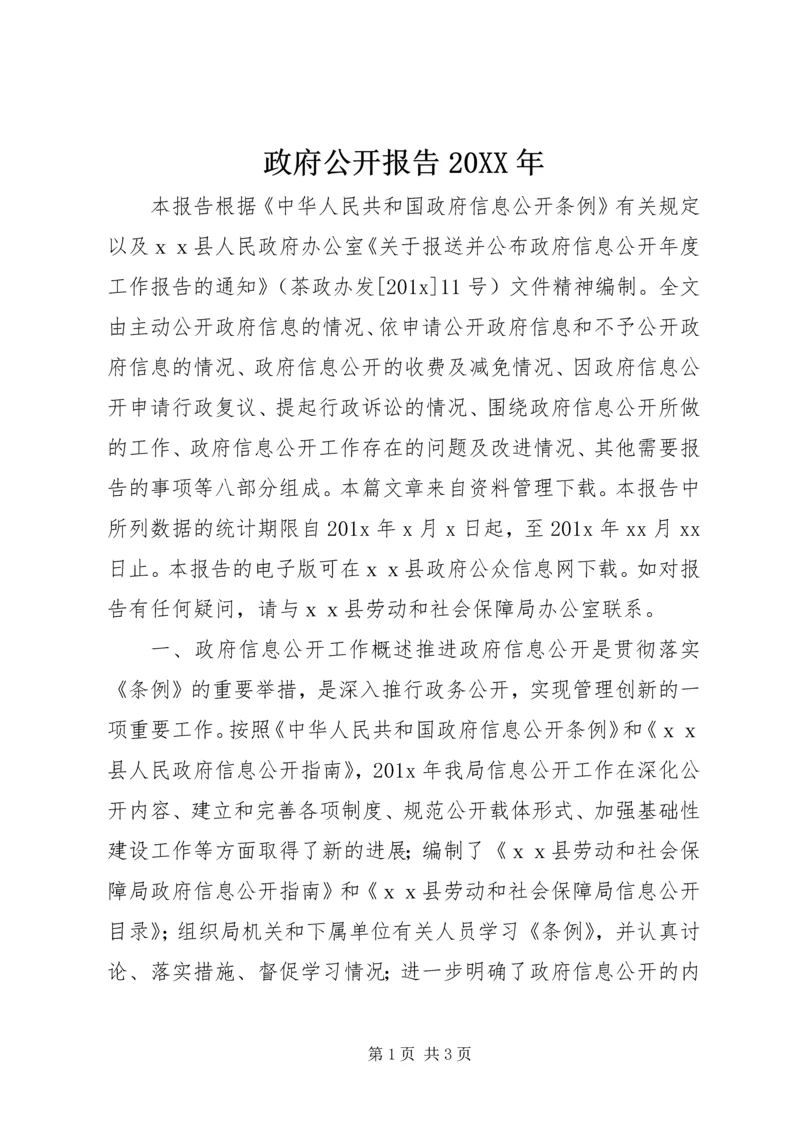 政府公开报告20XX年.docx