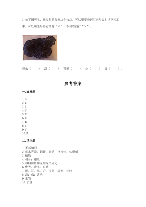 教科版二年级下册科学期末测试卷带答案（典型题）.docx