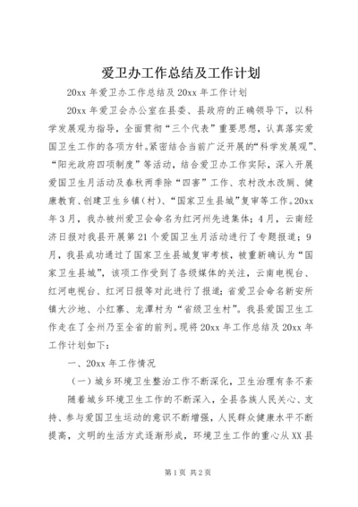 爱卫办工作总结及工作计划 (2).docx