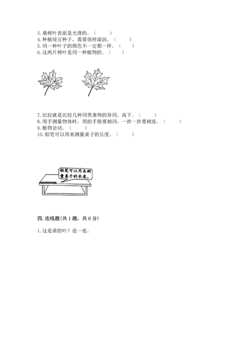 教科版一年级上册科学期末测试卷完整参考答案.docx