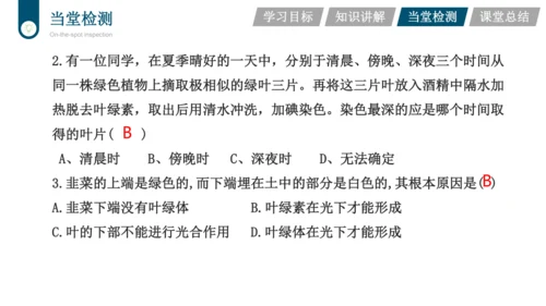 3.3.4  绿色植物是生物圈中有机物的制造者  课件-2023-2024学年人教版生物七年级上册(