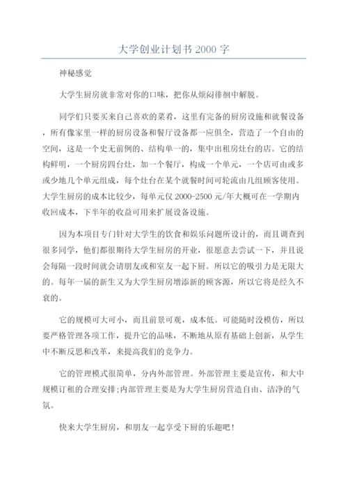 大学创业计划书2000字.docx