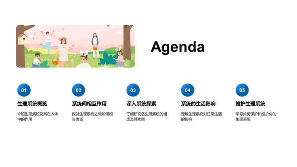 初中生理系统解析PPT模板