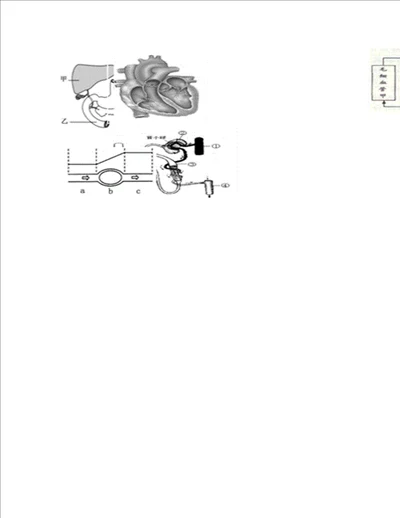 九年级科学生物图过关