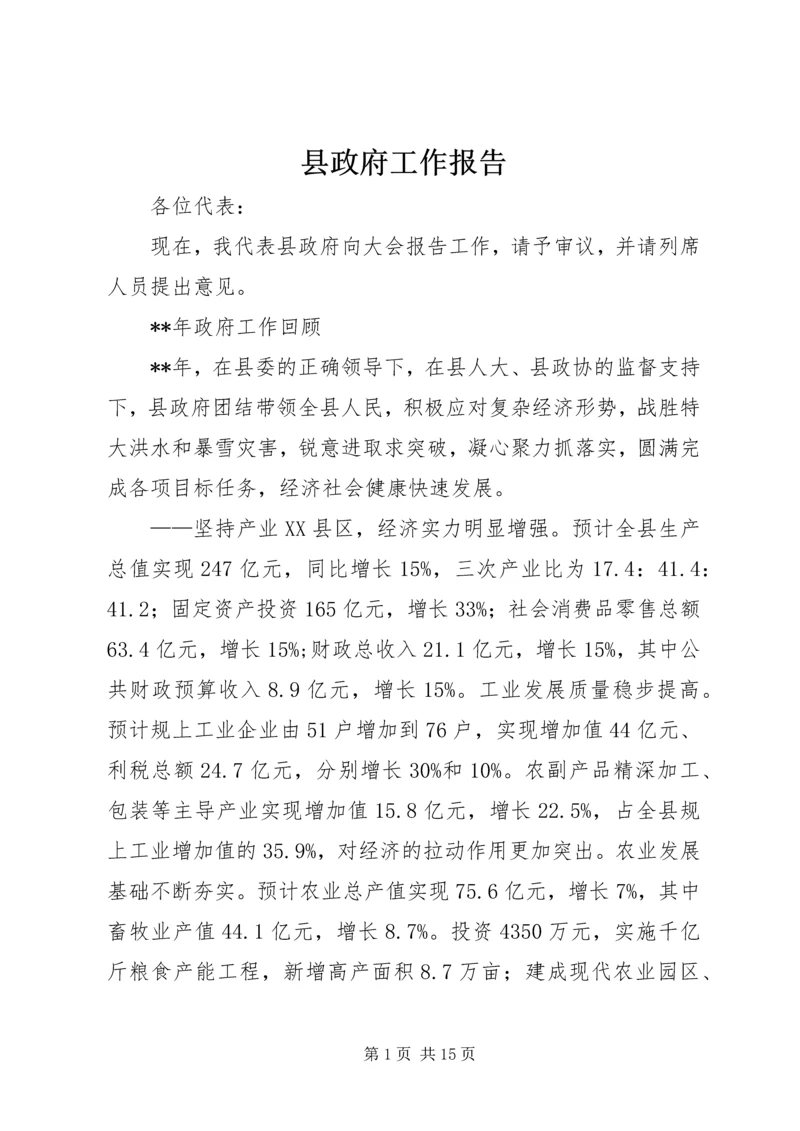 县政府工作报告 (24).docx