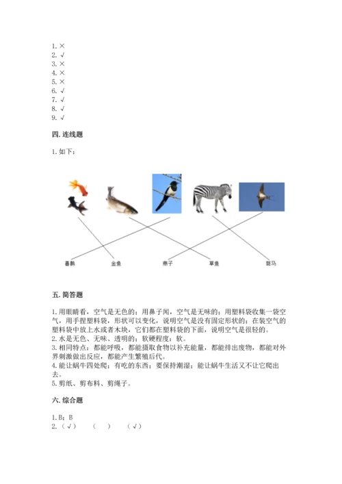 教科版一年级下册科学期末测试卷附完整答案【全国通用】.docx