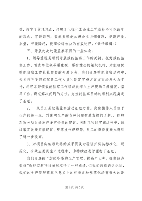 公司效能监察经验交流材料 (7).docx