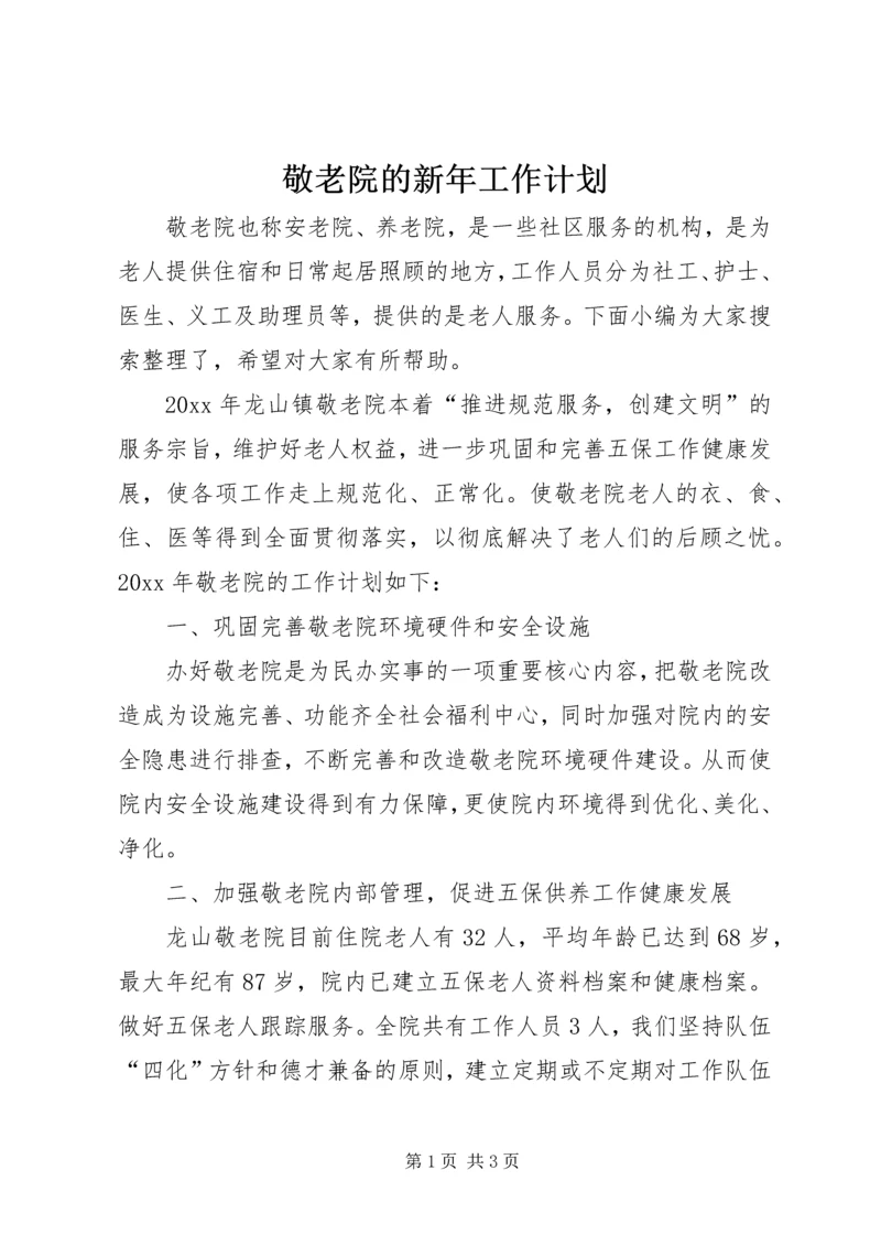 敬老院的新年工作计划 (2).docx