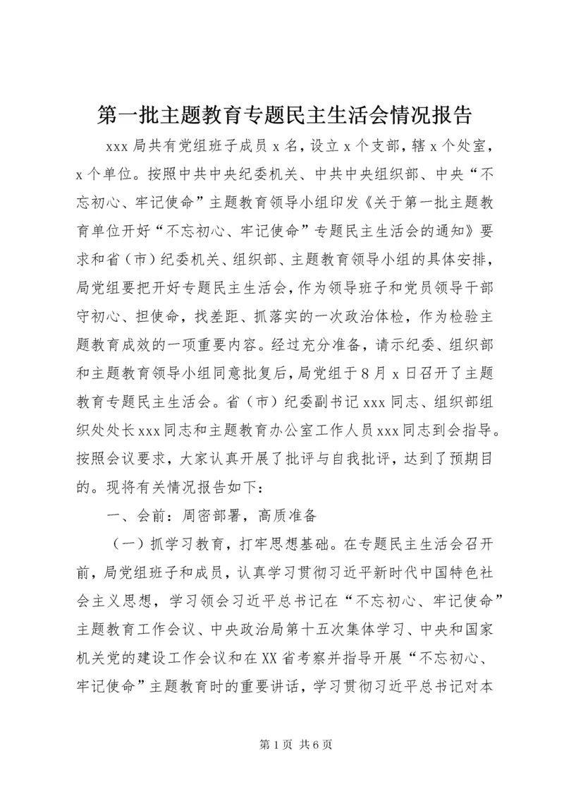 第一批主题教育专题民主生活会情况报告.docx