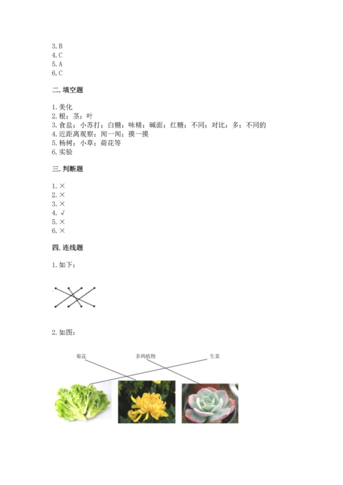 教科版科学一年级上册第一单元《植物》测试卷精品（典优）.docx