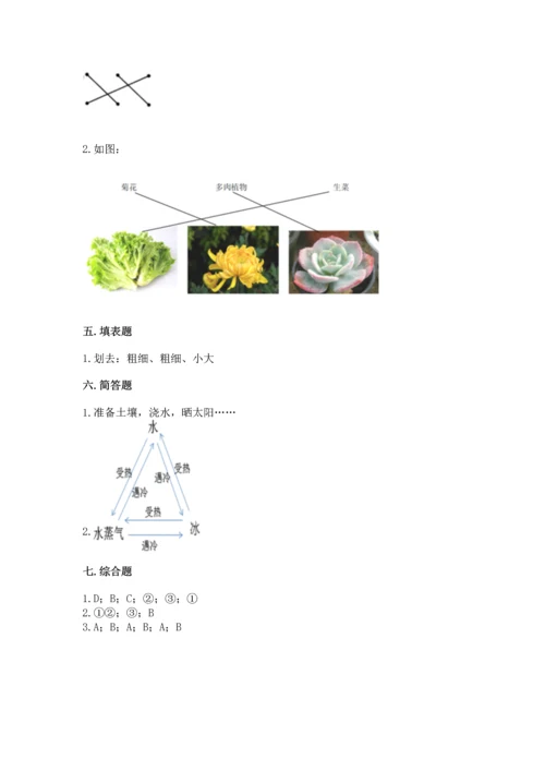 教科版科学一年级上册第一单元《植物》测试卷【易错题】.docx