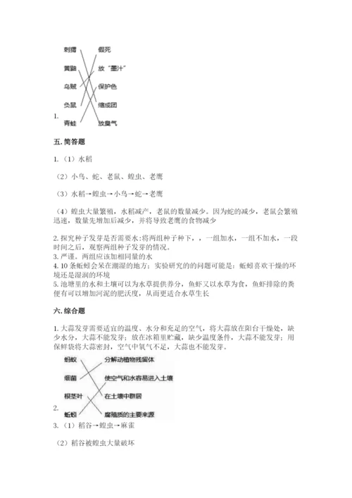 教科版五年级下册科学第一单元《生物与环境》测试卷含答案（轻巧夺冠）.docx