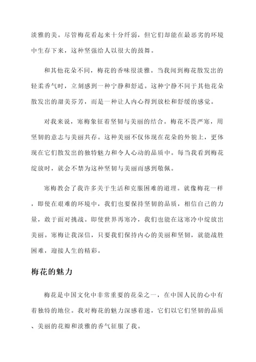 看了梅花的感想