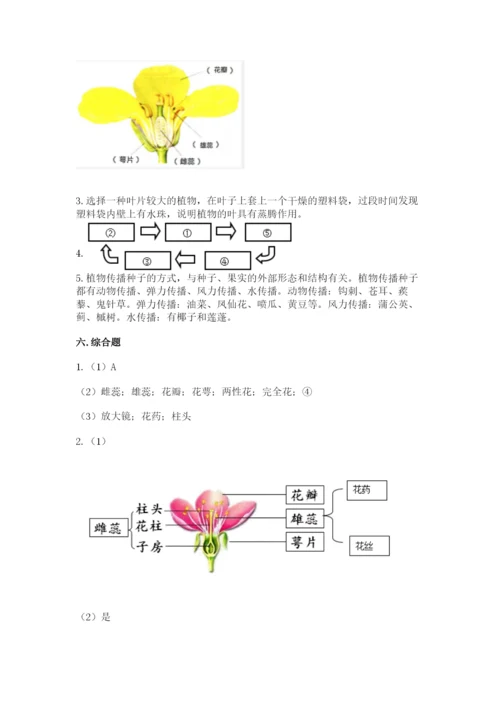 教科版科学四年级下册第一单元《植物的生长变化》测试卷含答案（巩固）.docx