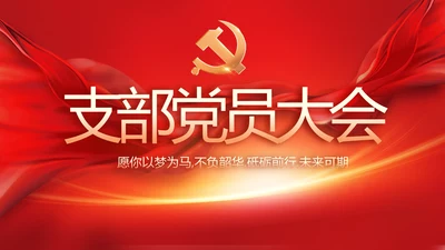 党支部党员大会工作总结汇报计划动态PPT