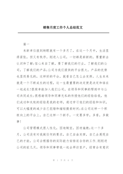 销售月度工作个人总结范文.docx