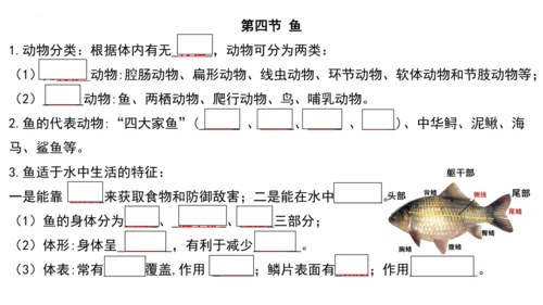人教版生物八年级上册期末考试知识点汇总（课件）(共28张PPT)
