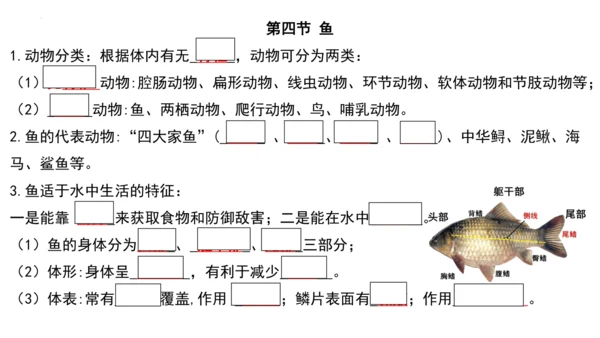 人教版生物八年级上册期末考试知识点汇总（课件）(共28张PPT)