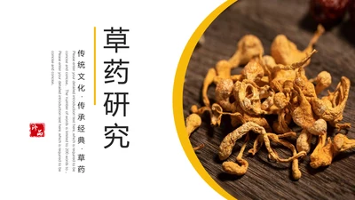 冬虫夏草保健养生中草药通用PPT