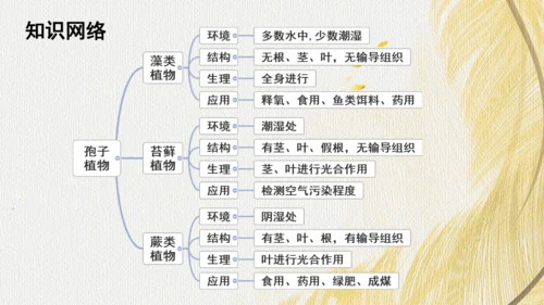 人教版（2024）七年级上册2.1.1藻类、苔藓植物和蕨类植物(共17张PPT)+视频素材