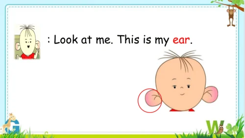 Unit3 Look at me Part A Let’s learn  课件(共43张PPT)