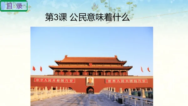 六年级上册道德与法治第二单元我们是公民复习课件