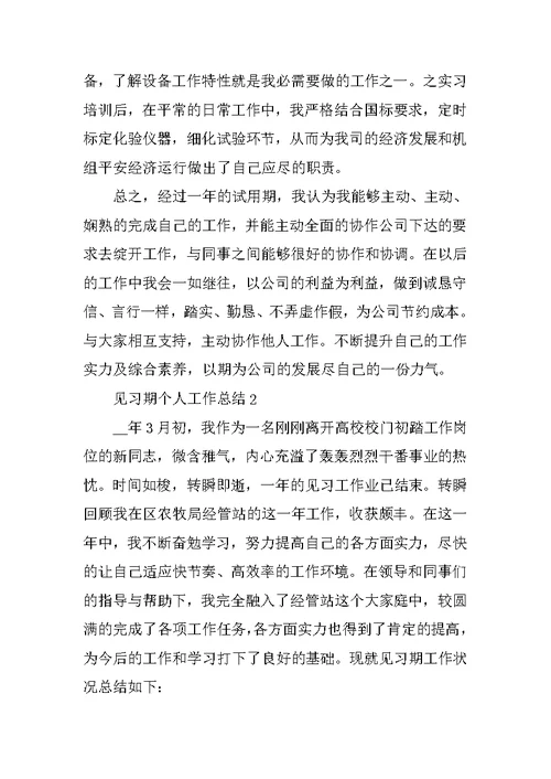 见习期个人工作总结报告范文8篇