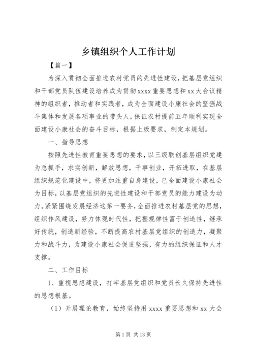 乡镇组织个人工作计划.docx