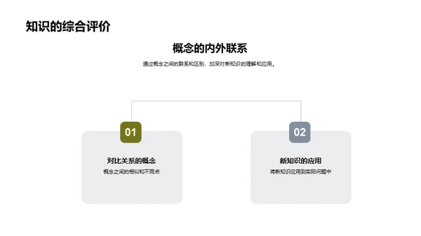 新知识解析与应用